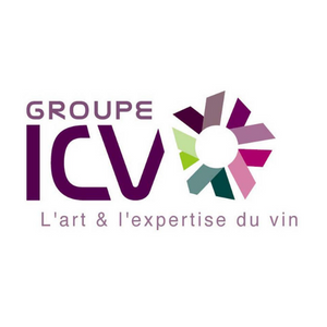 Logo du groupe ICV Groupe